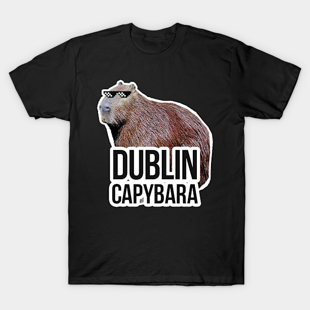 Dublin capybara meme T-Shirt by NeedsFulfilled